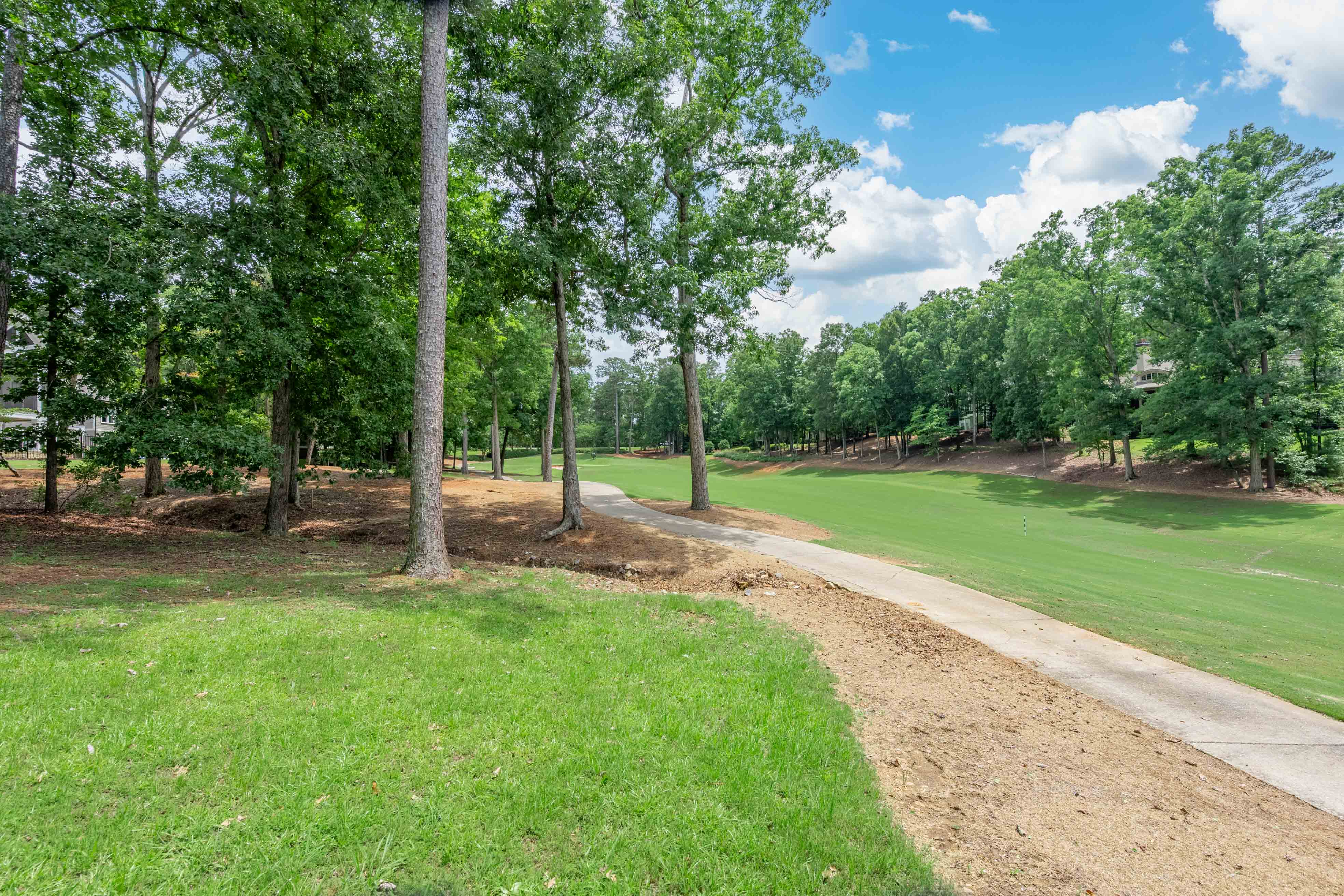 1101 Scull Shoals Drive image 20